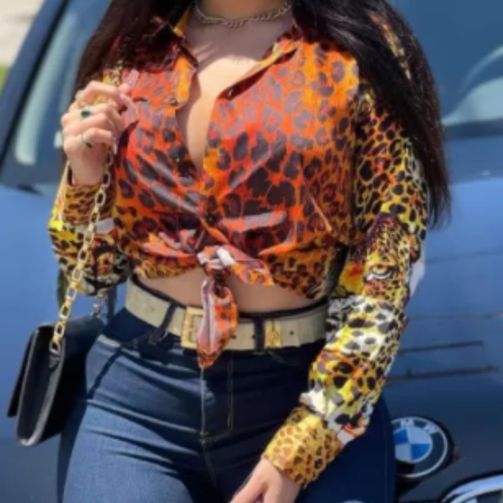 Leopard Print Long Sleeve Blouse Top